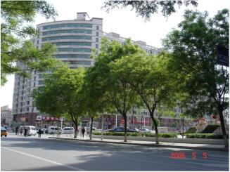 富民新区